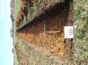 Thumbnail of Photo 130472 east view of trench 123 taken at Hunts Green Farm