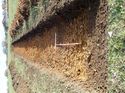 Thumbnail of Photo 130473 east view of trench 123 taken at Hunts Green Farm