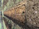 Thumbnail of Photo 130475 west view of trench 123 taken at Hunts Green Farm