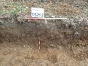 Thumbnail of Photo 130478 north facing section of natural feature [915212] taken at Hunts Green Farm