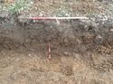 Thumbnail of Photo 130479 north facing section of natural feature [915212] taken at Hunts Green Farm