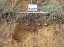 Thumbnail of Photo 130484 south facing section of rooting [913007] taken at Hunts Green Farm