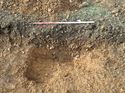 Thumbnail of Photo 130486 south facing section of rooting [913007] taken at Hunts Green Farm
