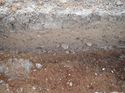Thumbnail of Photo 130489 north facing section of ditch [906604] taken at Hunts Green Farm