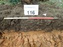 Thumbnail of Photo 160498 south facing representative section of trench 116 taken at Hunts Green Farm
