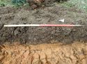 Thumbnail of Photo 160499 south facing representative section of trench 116 taken at Hunts Green Farm