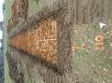 Thumbnail of Photo 160501 northwest view of trench 110 taken at Hunts Green Farm