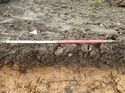 Thumbnail of Photo 160506 northeast facing representative section of trench 110 taken at Hunts Green Farm