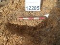 Thumbnail of Photo 160509 southeast facing section of rooting [912205] taken at Hunts Green Farm
