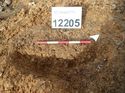 Thumbnail of Photo 160510 southeast facing section of rooting [912205] taken at Hunts Green Farm