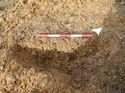 Thumbnail of Photo 160511 southeast facing section of rooting [912205] taken at Hunts Green Farm