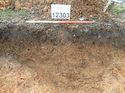 Thumbnail of Photo 160512 east facing section of rooting/land drain [912303] taken at Hunts Green Farm
