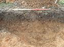 Thumbnail of Photo 1605120 east view of trench 115 taken at Hunts Green Farm