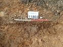Thumbnail of Photo 160515 south facing section of rooting [912002] taken at Hunts Green Farm