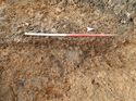Thumbnail of Photo 160517 east facing section of rooting [911802] taken at Hunts Green Farm