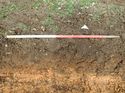 Thumbnail of Photo 160524 south facing representative section of trench 115 taken at Hunts Green Farm