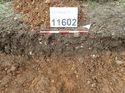 Thumbnail of Photo 160525 southeast facing section of natural feature [911602] taken at Hunts Green Farm