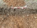 Thumbnail of Photo 160526 southeast facing section of natural feature [911602] taken at Hunts Green Farm