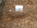 Thumbnail of Photo 160527 southeast facing section of natural feature [911602] taken at Hunts Green Farm