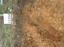 Thumbnail of Photo 160528 southeast facing section of natural feature [911602] taken at Hunts Green Farm