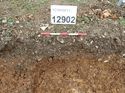 Thumbnail of Photo 160533 southwest facing section of rooting [912902] taken at Hunts Green Farm