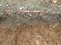 Thumbnail of Photo 160534 southwest facing section of rooting [912902] taken at Hunts Green Farm