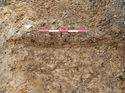 Thumbnail of Photo 160536 southeast facing section of rooting [912902] taken at Hunts Green Farm