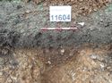 Thumbnail of Photo 160537 southeast facing section of natural feature [911604] taken at Hunts Green Farm