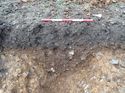 Thumbnail of Photo 160538 southeast facing section of natural feature [911604] taken at Hunts Green Farm