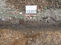 Thumbnail of Photo 160541 west facing section of ditch [912207] taken at Hunts Green Farm