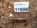 Thumbnail of Photo 170549 south facing section of natural feature [911606] taken at Hunts Green Farm