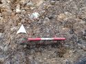 Thumbnail of Photo 170550 south facing section of natural feature [911606] taken at Hunts Green Farm