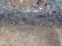 Thumbnail of Photo 170552 southwest facing section of natural feature [911606] taken at Hunts Green Farm