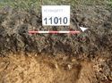 Thumbnail of Photo 170556 southwest facing section of land drain/ditch [911010] taken at Hunts Green Farm