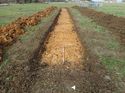 Thumbnail of Photo 170563 north view of trench 108 taken at Hunts Green Farm