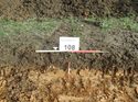 Thumbnail of Photo 170564 southwest facing representative section of trench 108 taken at Hunts Green Farm