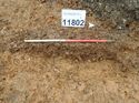 Thumbnail of Photo 170569 east facing section of rooting [911802] taken at Hunts Green Farm