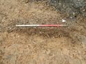 Thumbnail of Photo 170570 east facing section of rooting [911802] taken at Hunts Green Farm