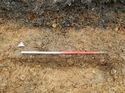 Thumbnail of Photo 170572 west facing section of rooting [911807] taken at Hunts Green Farm