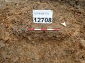Thumbnail of Photo 170577 north facing section of natural feature [912708] taken at Hunts Green Farm
