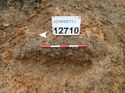 Thumbnail of Photo 170579 west facing section of rooting [912710] taken at Hunts Green Farm