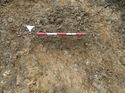 Thumbnail of Photo 170582 west facing section of rooting [911503] taken at Hunts Green Farm