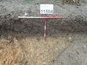 Thumbnail of Photo 170583 north facing section of ditch [911504] taken at Hunts Green Farm