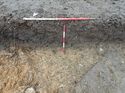 Thumbnail of Photo 170584 north facing section of ditch [911504] taken at Hunts Green Farm