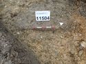 Thumbnail of Photo 170585 east facing section of ditch [911504] taken at Hunts Green Farm