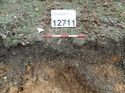 Thumbnail of Photo 170589 southwest facing section of natural feature [912711] taken at Hunts Green Farm