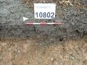 Thumbnail of Photo 170591 south facing section of ditch/land drain [910802] taken at Hunts Green Farm