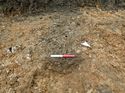 Thumbnail of Photo 170594 northeast facing section of ditch/land drain [910802] taken at Hunts Green Farm