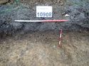 Thumbnail of Photo 170595 south facing section of rooting [910908] taken at Hunts Green Farm