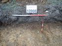 Thumbnail of Photo 170596 south facing section of rooting [910908] taken at Hunts Green Farm